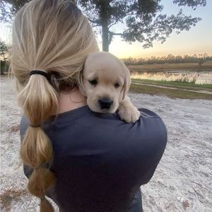 Meet your Posher, Mallory